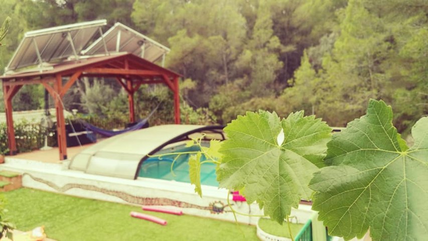 jardin mar pisci web
